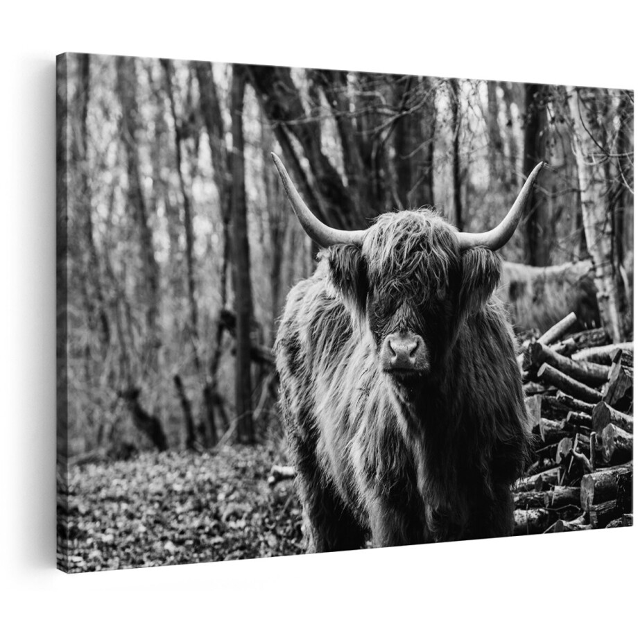 Artaza Canvas Schilderij Schotse Hooglander in de Bossen - Zwart Wit - 150x100 cm - Groot - Foto Op Canvas - Wanddecoratie Woonkamer afbeelding 1