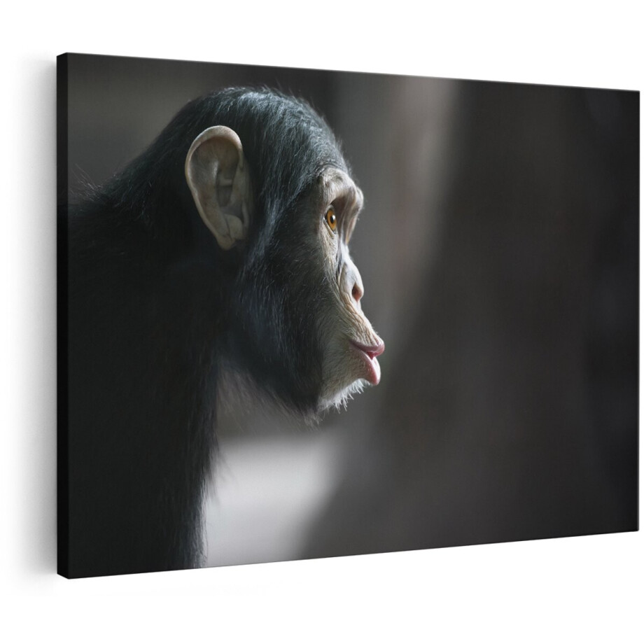 Artaza Canvas Schilderij Verbaasde Aap Vanaf De Zijkant - 150x100 cm - Groot - Wanddecoratie Woonkamer - Schilderijen - Muurdecoratie afbeelding 1
