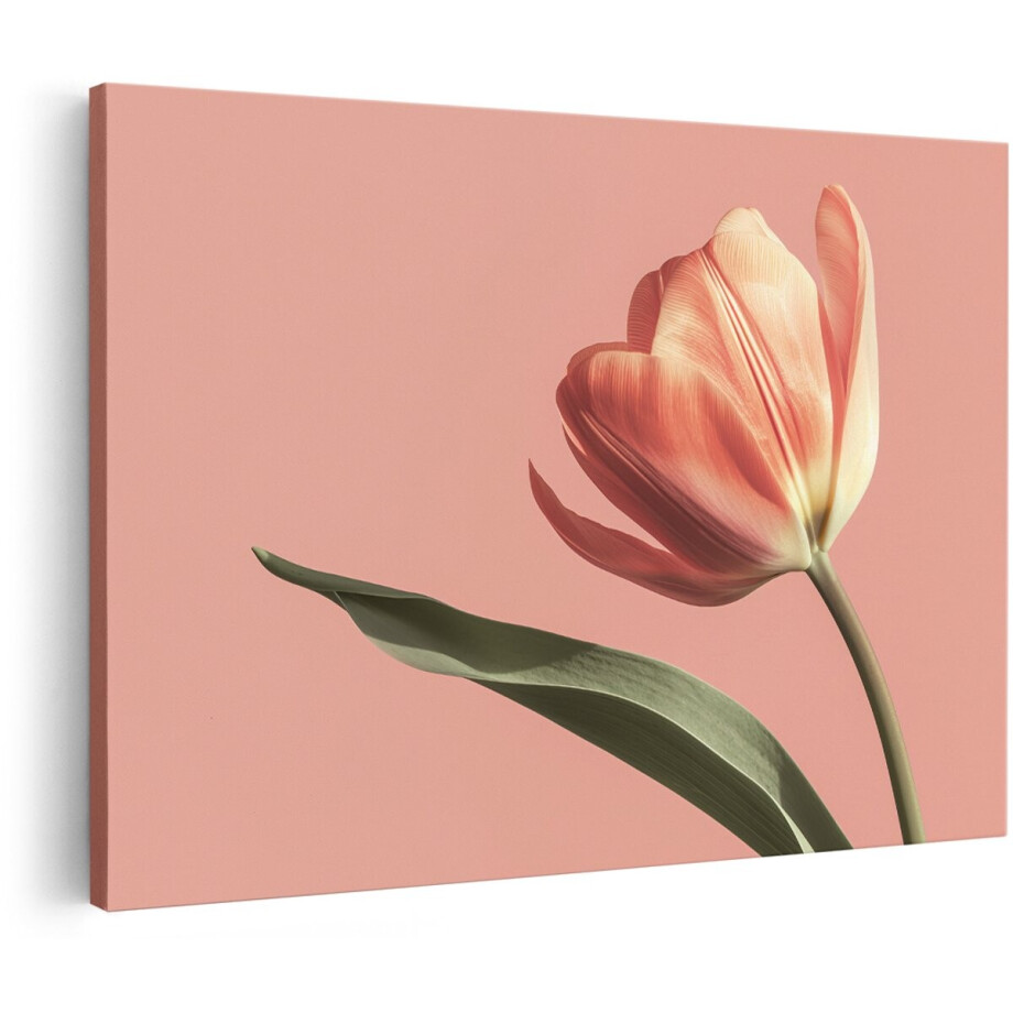 Artaza Canvas Schilderij Tulp - 180x120 cm - Groot - Wanddecoratie Bloemen - Muurdecoratie Roze - Decoratie Woonkamer - Schilderijen Op Canvas Artaza Canvas Schilderij Tulp - 180x120 cm - Groot - Wanddecoratie Bloemen - Muurdecoratie Roze - Decoratie Woonkamer - Schilderijen Op Canvas afbeelding 1