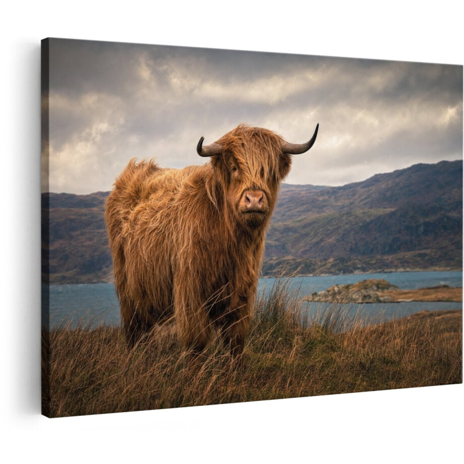 Artaza Canvas Schilderij Schotse Hooglander In Berglandschap - Natuur - 30x20 cm - Klein - Wanddecoratie Woonkamer - Schilderijen - Muurdecoratie Artaza Canvas Schilderij Schotse Hooglander In Berglandschap - Natuur - 30x20 cm - Klein - Wanddecoratie Woonkamer - Schilderijen - Muurdecoratie afbeelding 1