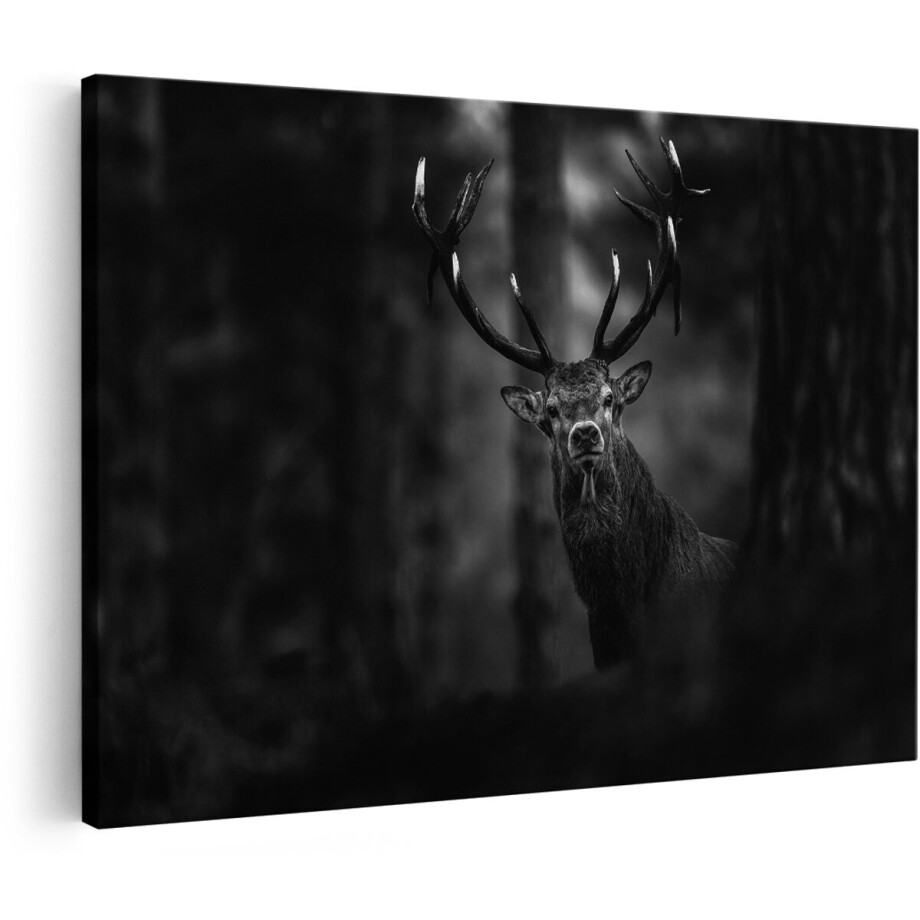 Artaza Canvas Schilderij Hert in het Bos van Dicthbij - Zwart Wit - 150x100 cm - Groot - Foto Op Canvas - Wanddecoratie Woonkamer Artaza Canvas Schilderij Hert in het Bos van Dicthbij - Zwart Wit - 150x100 cm - Groot - Foto Op Canvas - Wanddecoratie Woonkamer afbeelding 1