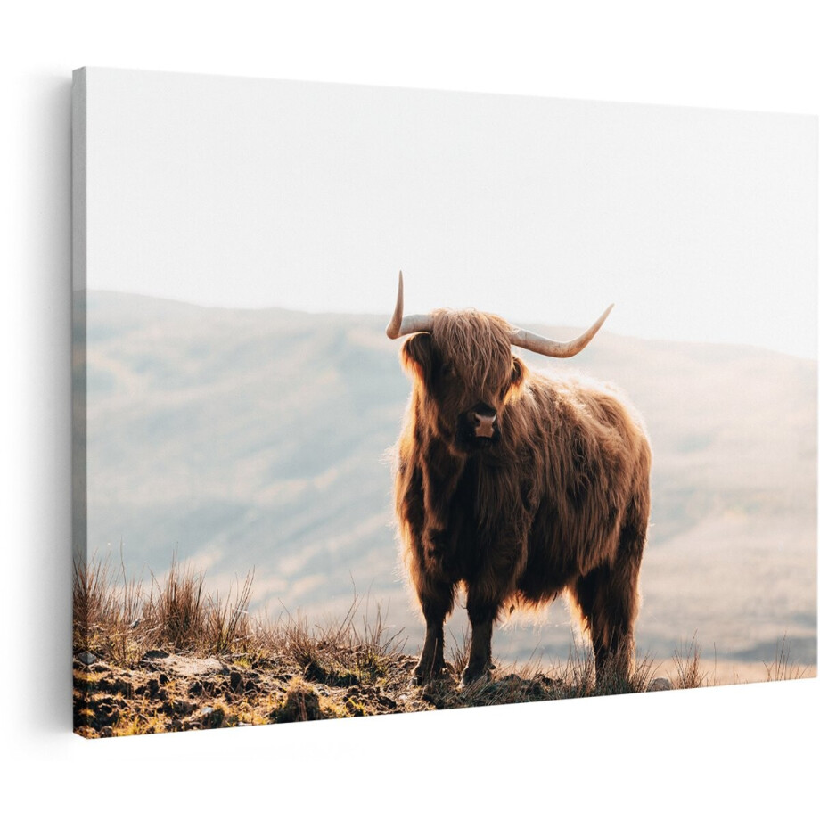 Artaza Canvas Schilderij Schotse Hooglander Koe in het Heuvel Landschap - 150x100 cm - Groot - Foto Op Canvas - Wanddecoratie afbeelding 1
