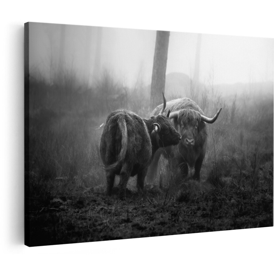 Artaza Canvas Schilderij Twee Schotse Hooglanders in de Mist - Zwart Wit - 150x100 cm - Groot - Foto Op Canvas - Wanddecoratie afbeelding 1
