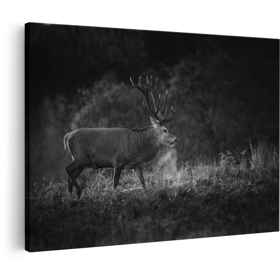 Artaza Canvas Schilderij Hert in het Gras met Mist - Zwart Wit - 180x120 cm - Groot - Foto Op Canvas - Wanddecoratie Woonkamer afbeelding 1