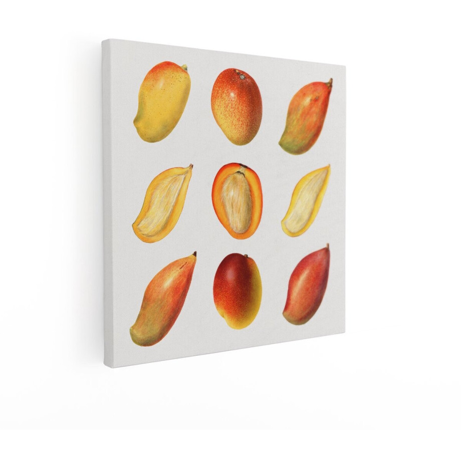 Artaza Canvas Schilderij Mango - 90x90 cm - Wanddecoratie Keuken - Muurdecoratie Fruit - Vintage Schilderijen Op Canvas Artaza Canvas Schilderij Mango - 90x90 cm - Wanddecoratie Keuken - Muurdecoratie Fruit - Vintage Schilderijen Op Canvas afbeelding 1