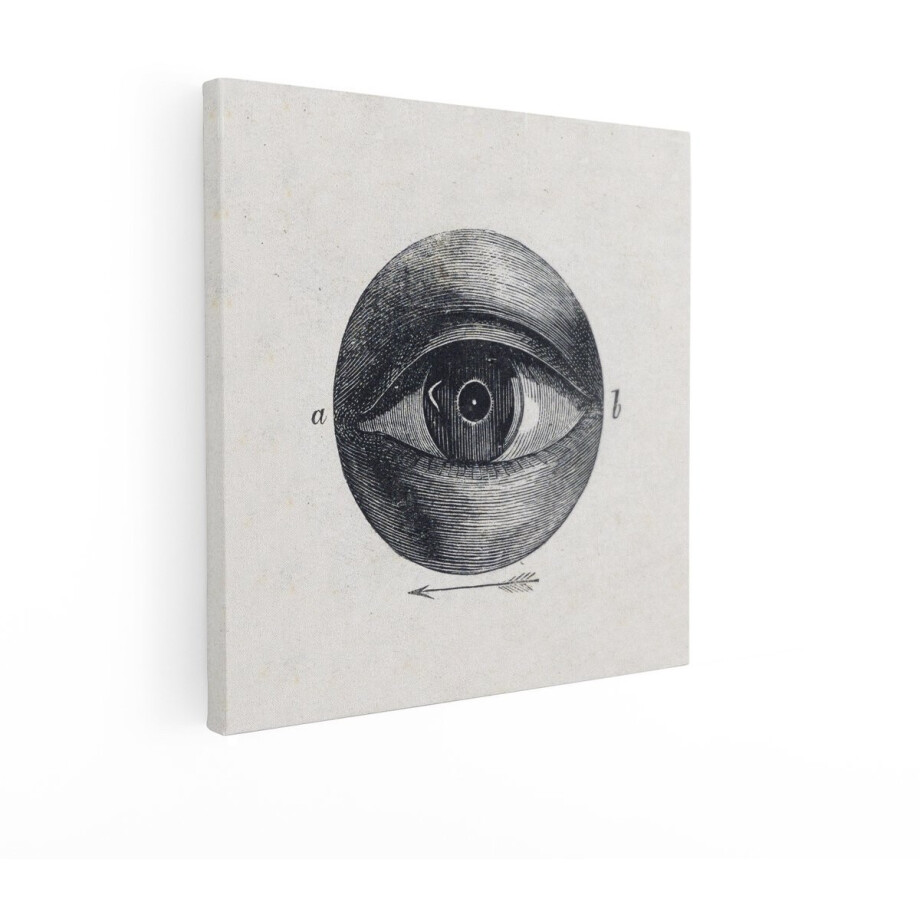 Artaza Canvas Schilderij Vintage Illustratie van een Menselijk Oog met Wetenschappelijke Annotaties en Pijl - 40x40 cm - Wanddecoratie Woonkamer - Schilderijen - Muurdecoratie afbeelding 1