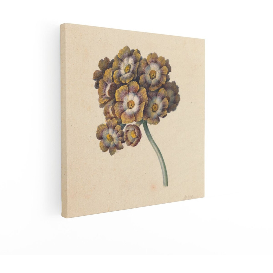 Artaza Canvas Schilderij Bloemen - 90x90 cm - Wanddecoratie Vintage - Muurdecoratie Aquarel - Schilderijen Op Canvas Bloem Artaza Canvas Schilderij Bloemen - 90x90 cm - Wanddecoratie Vintage - Muurdecoratie Aquarel - Schilderijen Op Canvas Bloem afbeelding 1