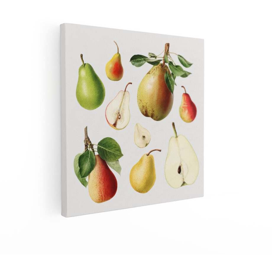 Artaza Canvas Schilderij Verschillende Soorten Peren - Heel en Doorgesneden - met Bladeren - 50x50 cm - Wanddecoratie Woonkamer - Schilderijen - Muurdecoratie afbeelding 1