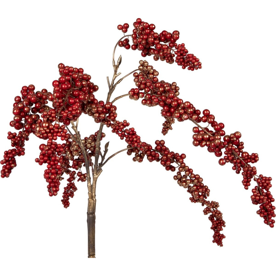 PTMD Berry Plant burgundy berry hanging bush afbeelding 1