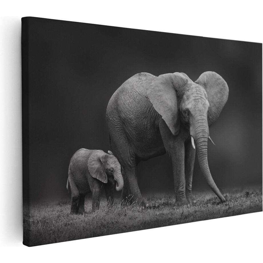 Artaza Canvas Schilderij Olifant - 90x60 cm - Wanddecoratie Dieren - Muurdecoratie Olifant Met Baby - Schilderijen Op Canvas Zwart Wit Artaza Canvas Schilderij Olifant - 90x60 cm - Wanddecoratie Dieren - Muurdecoratie Olifant Met Baby - Schilderijen Op Canvas Zwart Wit afbeelding 1