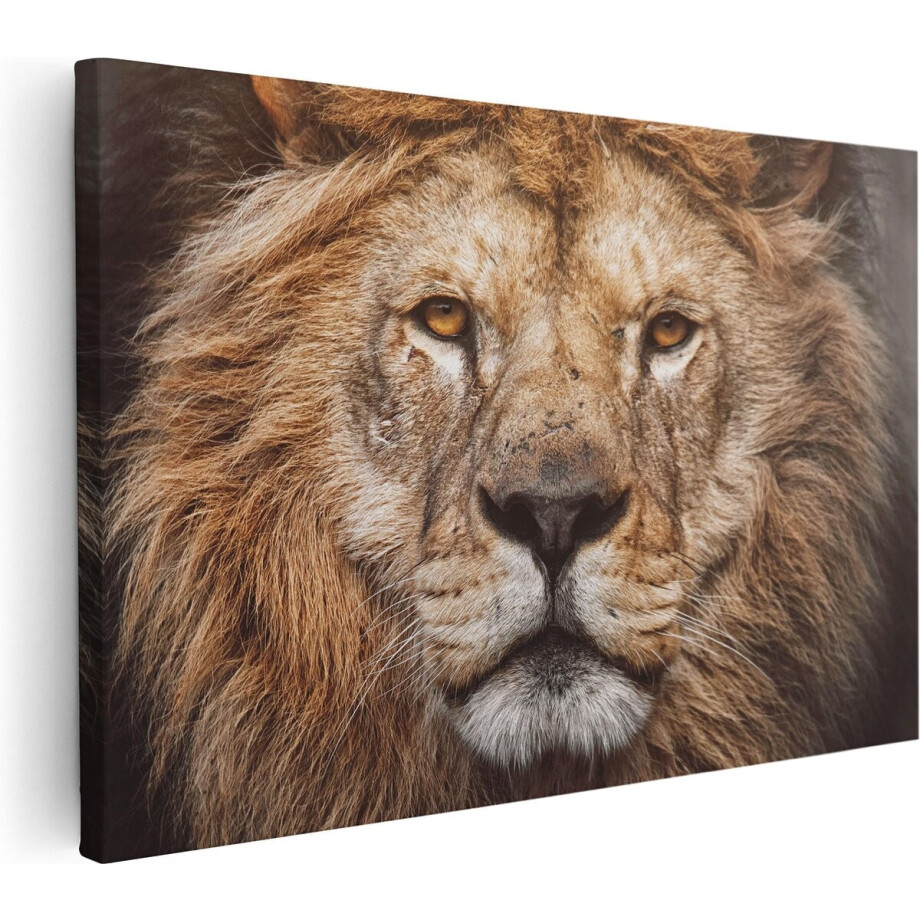 Artaza Canvas Schilderij Leeuw - Leeuwenkop - Kleur - 30x20 - Klein - Foto Op Canvas - Canvas Print Artaza Canvas Schilderij Leeuw - Leeuwenkop - Kleur - 30x20 - Klein - Foto Op Canvas - Canvas Print afbeelding 1