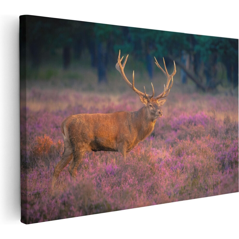 Artaza Canvas Schilderij Hert In De Weide Tijdens Zonsondergang - 90x60 - Foto Op Canvas - Canvas Print - Muurdecoratie afbeelding 1