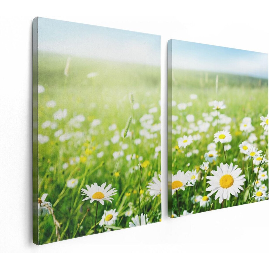 Artaza Canvas Schilderij Tweeluik Bloemenveld Van Madeliefjes - Bloemen - 120x80 - Foto Op Canvas - Canvas Print afbeelding 1