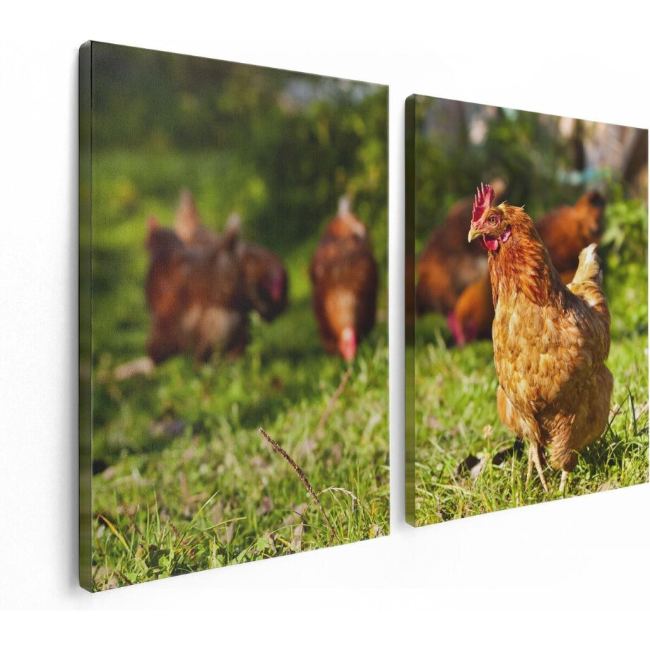 Artaza Canvas Schilderij Tweeluik Kippen in het Gras - 120x80 - Foto Op Canvas - Canvas Print afbeelding 1