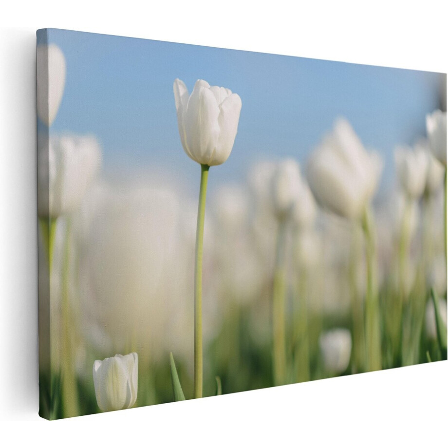 Artaza Canvas Schilderij Witte Tulpen - Bloemen - 120x80 - Groot - Foto Op Canvas - Wanddecoratie Woonkamer afbeelding 1