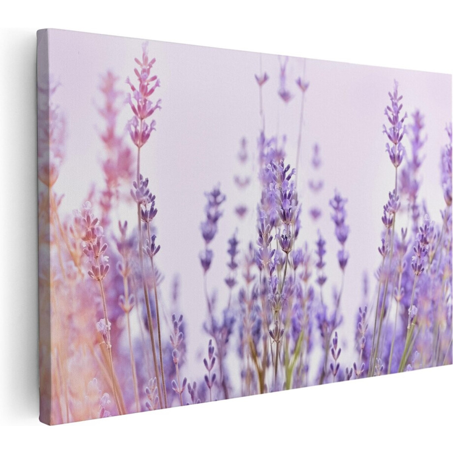 Artaza Canvas Schilderij Paarse Lavendel Bloemen - 120x80 - Groot - Foto Op Canvas - Wanddecoratie Woonkamer Artaza Canvas Schilderij Paarse Lavendel Bloemen - 120x80 - Groot - Foto Op Canvas - Wanddecoratie Woonkamer afbeelding 1