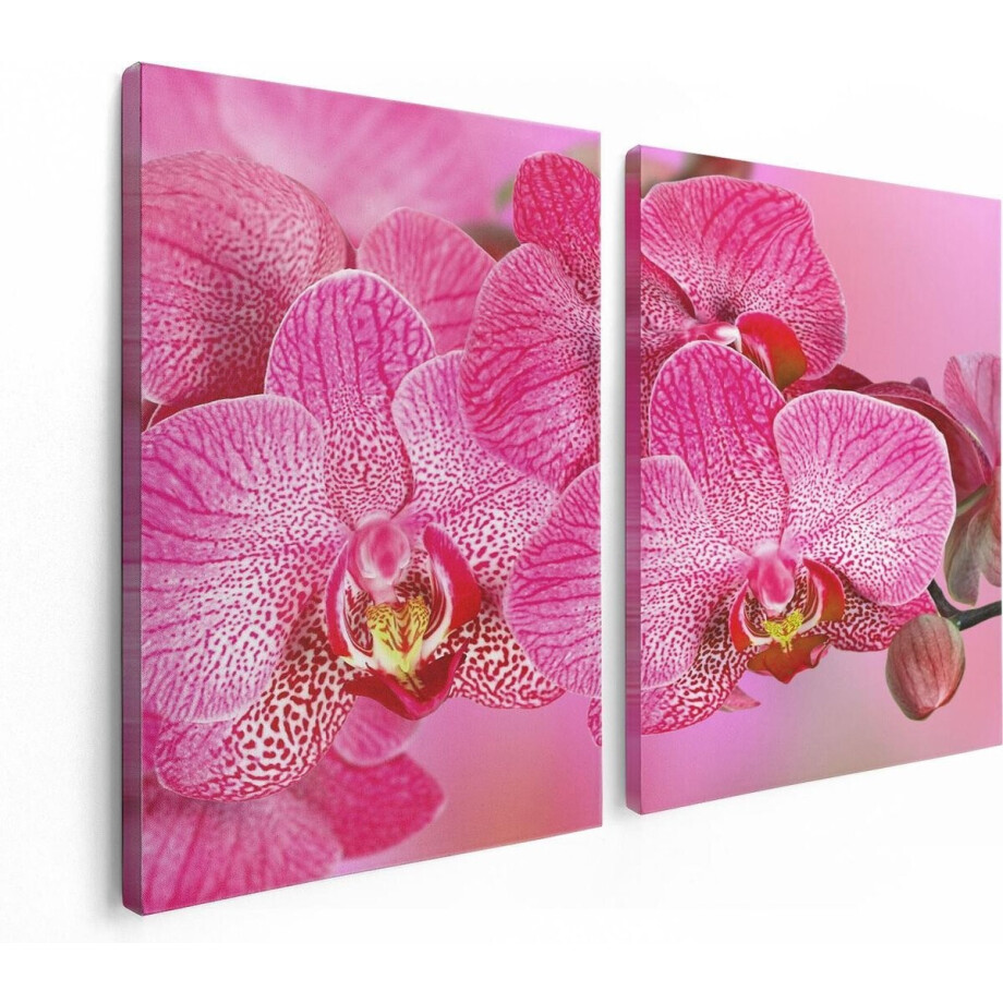 Artaza Canvas Schilderij Tweeluik Roze Orchidee Bloemen - 120x80 - Foto Op Canvas - Canvas Print afbeelding 1