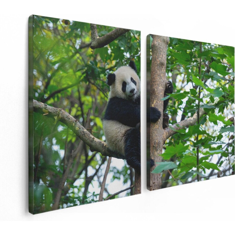 Artaza Canvas Schilderij Tweeluik Panda in de Bomen - 120x80 - Foto Op Canvas - Canvas Print Artaza Canvas Schilderij Tweeluik Panda in de Bomen - 120x80 - Foto Op Canvas - Canvas Print afbeelding 1