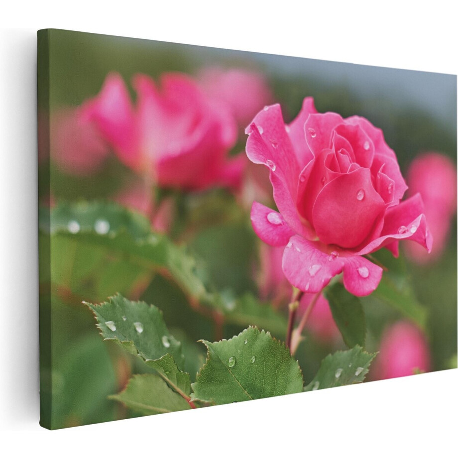 Artaza Canvas Schilderij Roze Roos Met Waterdruppels - 90x60 - Foto Op Canvas - Canvas Print - Muurdecoratie afbeelding 1
