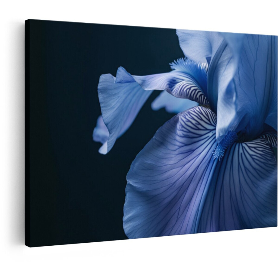 Artaza Canvas Schilderij Iris - 90x60 cm - Wanddecoratie Bloemen - Muurdecoratie Natuur - Decoratie Bloem - Blauw Artaza Canvas Schilderij Iris - 90x60 cm - Wanddecoratie Bloemen - Muurdecoratie Natuur - Decoratie Bloem - Blauw afbeelding 1