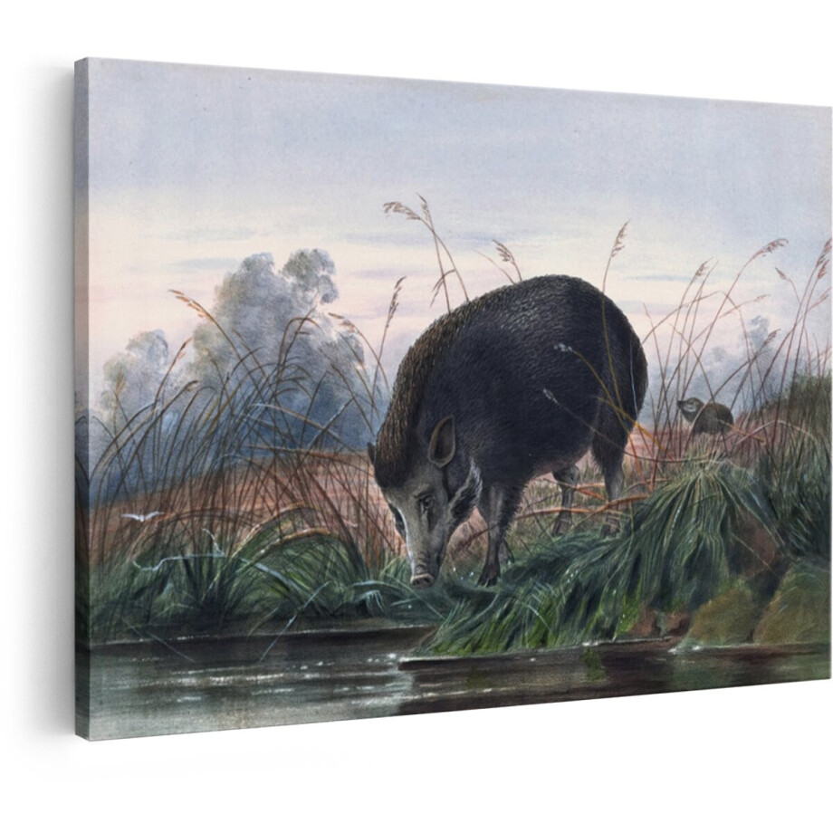 Artaza Canvas Schilderij Wild Zwijn - 60x40 cm - Wanddecoratie Dieren - Muurdecoratie Natuur Landschap - Vintage Schilderijen Woonkamer afbeelding 1