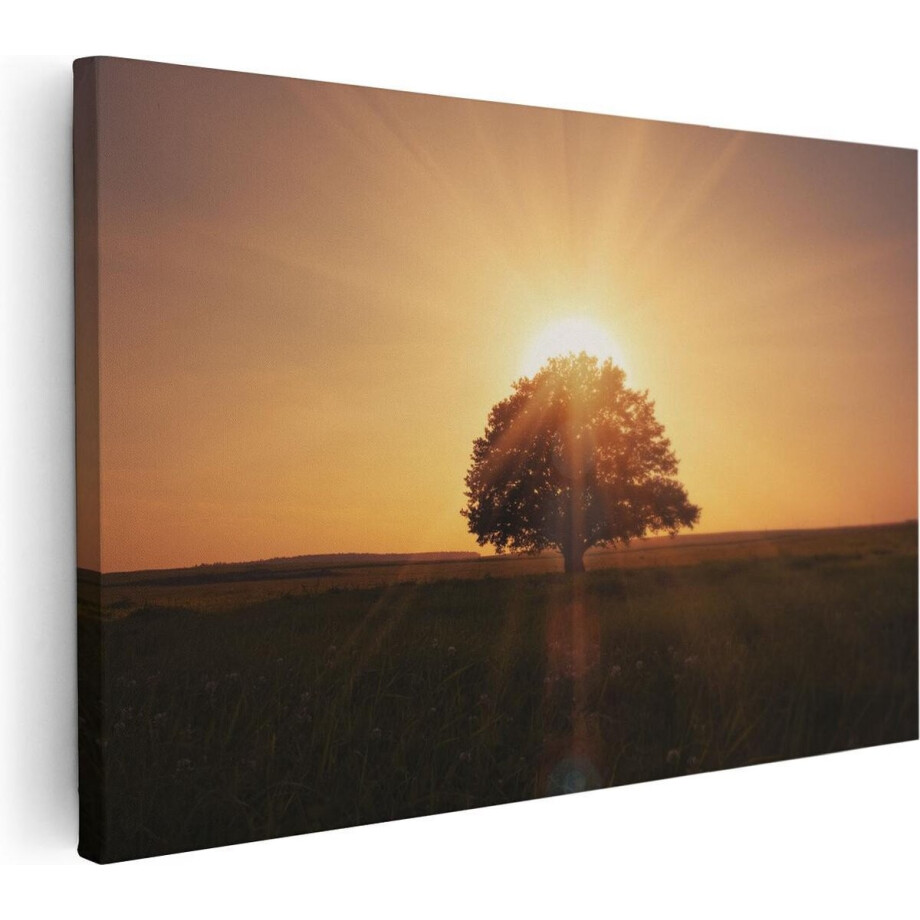 Artaza Canvas Schilderij Zonsondergang Achter Een Grote Boom - 60x40 - Foto Op Canvas - Canvas Print Artaza Canvas Schilderij Zonsondergang Achter Een Grote Boom - 60x40 - Foto Op Canvas - Canvas Print afbeelding 1