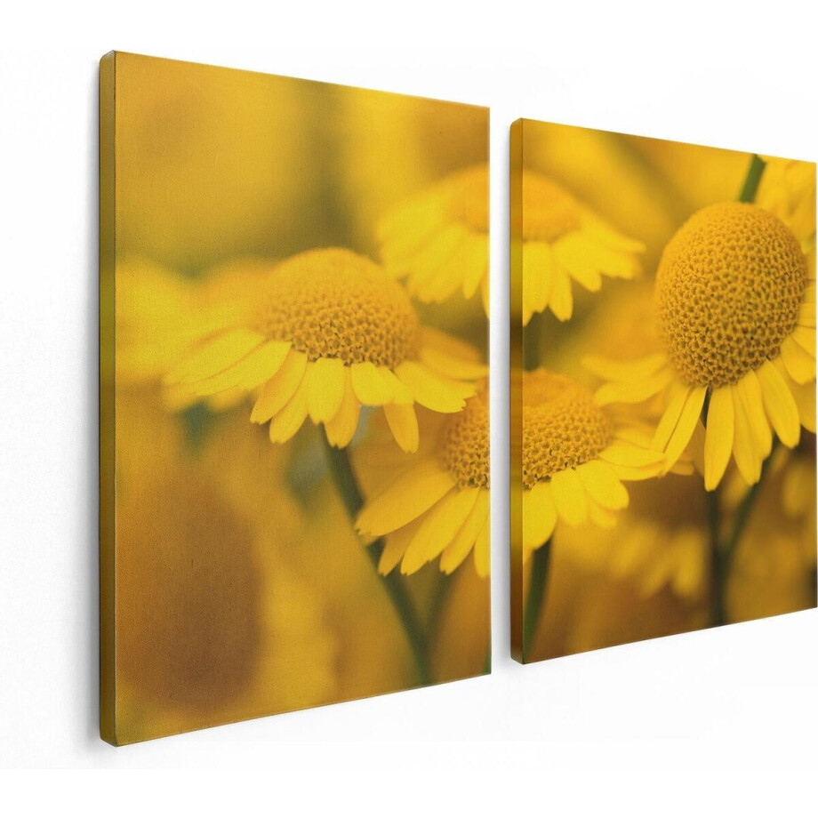 Artaza Canvas Schilderij Tweeluik Gele Kamille Bloemen - 120x80 - Foto Op Canvas - Canvas Print Artaza Canvas Schilderij Tweeluik Gele Kamille Bloemen - 120x80 - Foto Op Canvas - Canvas Print afbeelding 1