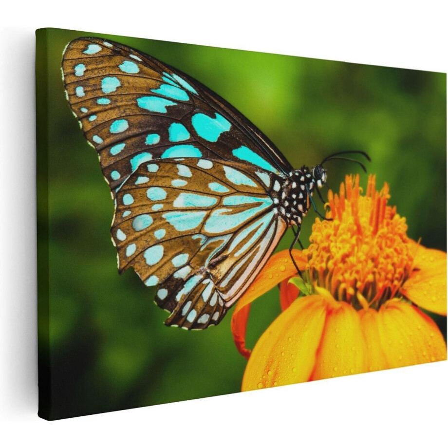 Artaza Canvas Schilderij Blauwe Vlinder Bij Een Oranje Bloem - 30x20 - Klein - Foto Op Canvas - Canvas Print afbeelding 1