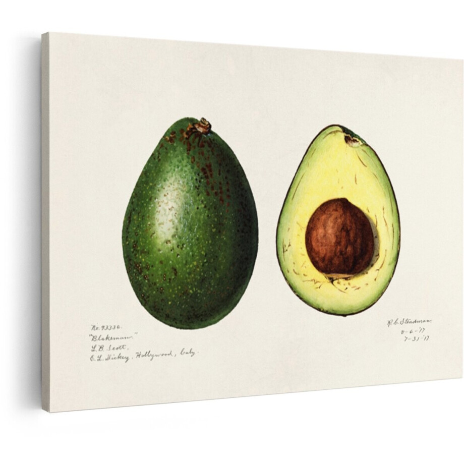 Artaza Canvas Schilderij Avocado - 90x60 cm - Wanddecoratie Keuken - Muurdecoratie Vintage - Schilderijen Fruit Illustratie - Groen Artaza Canvas Schilderij Avocado - 90x60 cm - Wanddecoratie Keuken - Muurdecoratie Vintage - Schilderijen Fruit Illustratie - Groen afbeelding 1