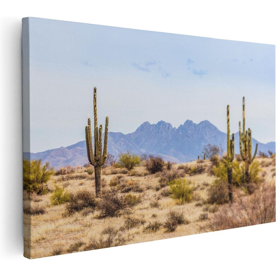 Artaza Canvas Schilderij Cactussen in de Woestijn - 90x60 - Foto Op Canvas - Canvas Print - Muurdecoratie afbeelding 1