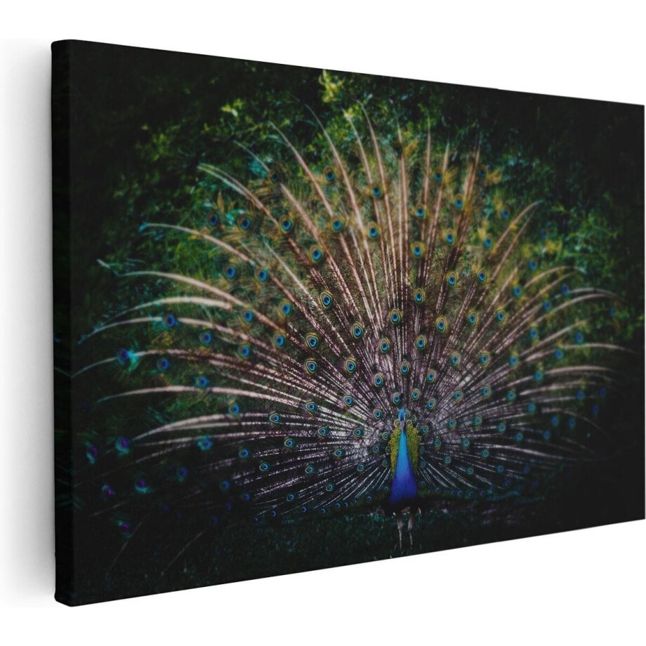 Artaza Canvas Schilderij Pauw Met Kleurrijke Veren - Kleur - 60x40 cm - Wanddecoratie Woonkamer - Schilderijen - Muurdecoratie afbeelding 1