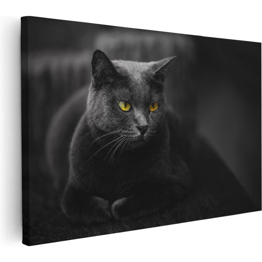Artaza Canvas Schilderij Kat - 120x80 cm - Groot - Wanddecoratie Dieren - Muurdecoratie Kat - Schilderijen Op Canvas afbeelding 1