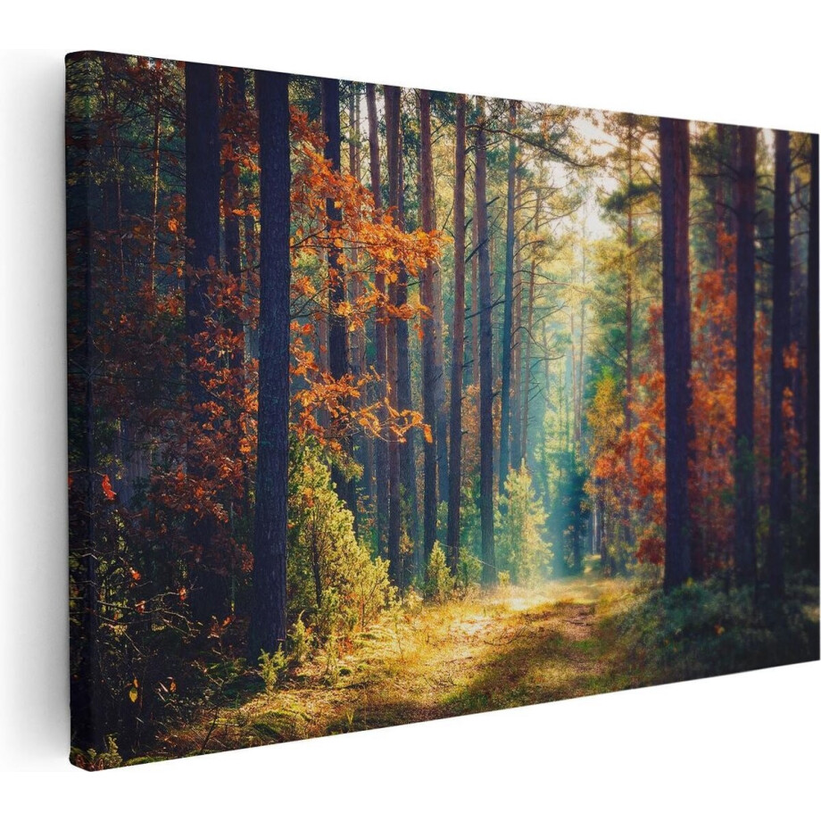 Artaza Canvas Schilderij Herfstbos Met Zonneschijn - Kleur - 120x80 cm - Groot - Wanddecoratie Woonkamer - Schilderijen - Muurdecoratie afbeelding 1