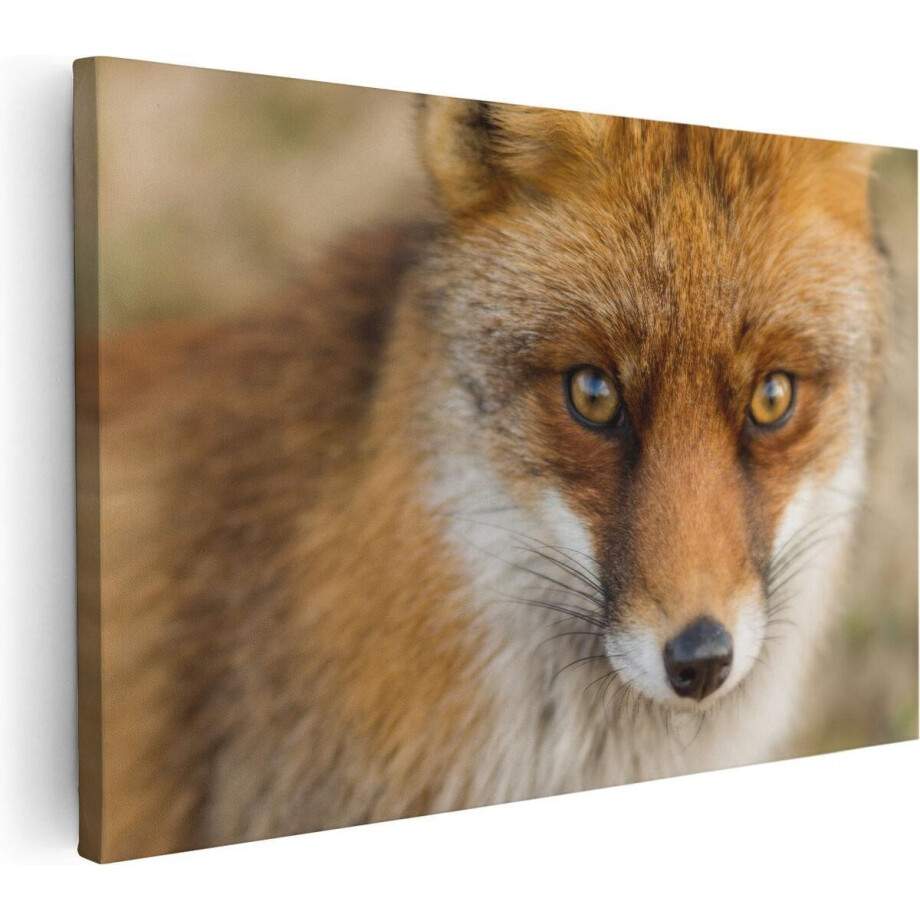 Artaza Canvas Schilderij Vossenkop met Bruine Ogen - Vos - 30x20 - Klein - Foto Op Canvas - Canvas Print Artaza Canvas Schilderij Vossenkop met Bruine Ogen - Vos - 30x20 - Klein - Foto Op Canvas - Canvas Print afbeelding 1