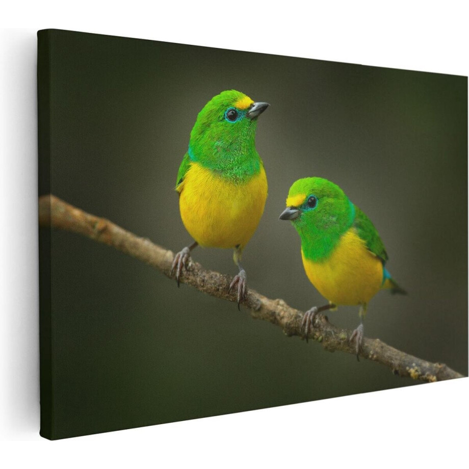 Artaza Canvas Schilderij Vogels - 60x40 cm - Wanddecoratie Vogels Op Tak - Muurdecoratie Dieren - Schilderijen Op Canvas Artaza Canvas Schilderij Vogels - 60x40 cm - Wanddecoratie Vogels Op Tak - Muurdecoratie Dieren - Schilderijen Op Canvas afbeelding 1