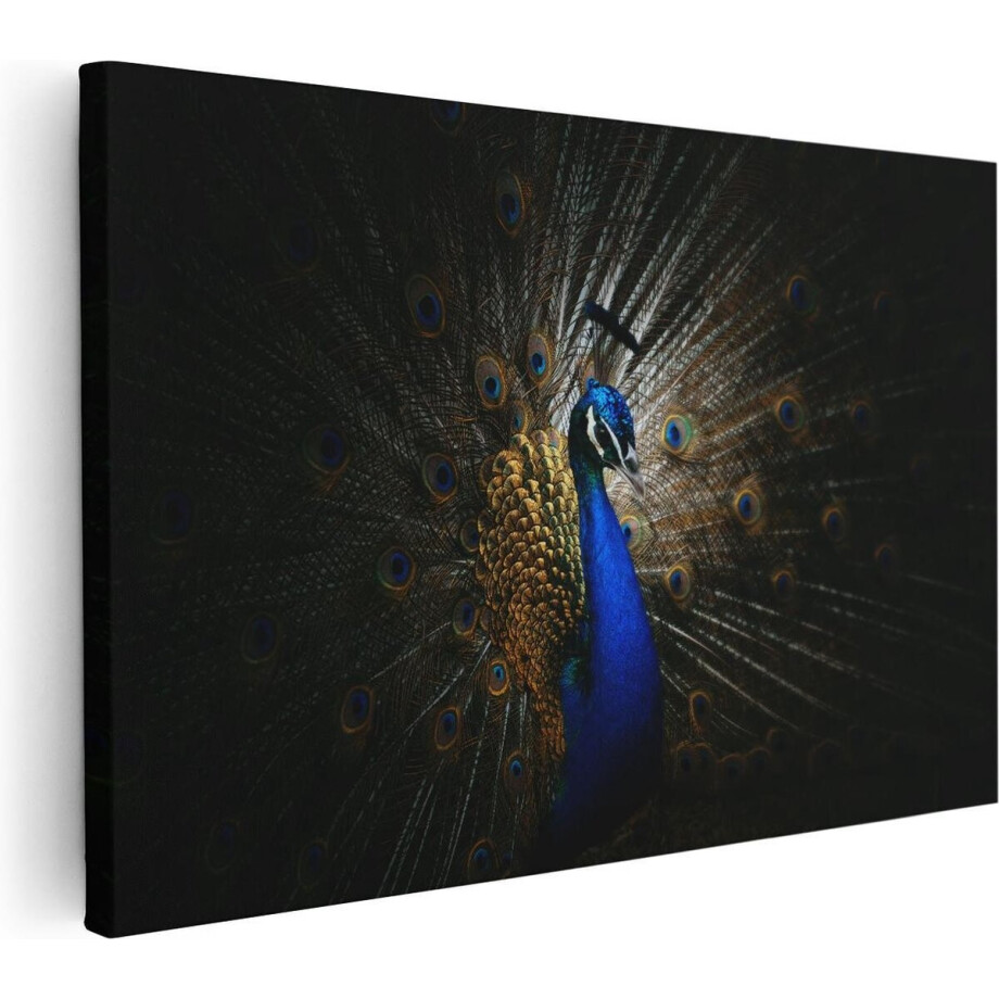 Artaza Canvas Schilderij Blauwe Pauw Met Grote Veren - 120x80 cm - Groot - Wanddecoratie Woonkamer - Schilderijen - Muurdecoratie afbeelding 1