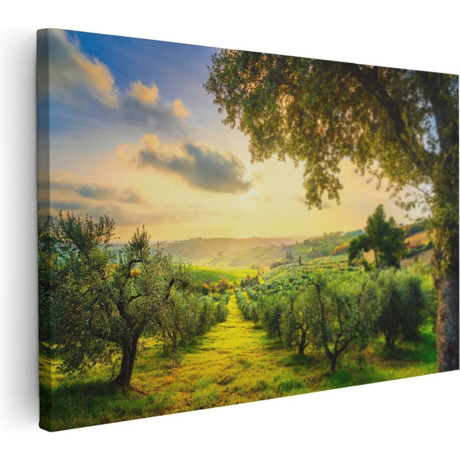 Artaza Canvas Schilderij Olijvenbomen - Olijvengaard - 120x80 - Groot - Foto Op Canvas - Wanddecoratie Woonkamer Artaza Canvas Schilderij Olijvenbomen - Olijvengaard - 120x80 - Groot - Foto Op Canvas - Wanddecoratie Woonkamer afbeelding 1