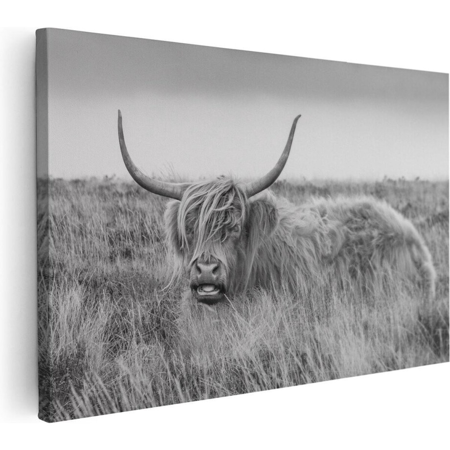 Artaza Canvas Schilderij Schotse Hooglander Koe - Zwart Wit - 120x80 - Groot - Foto Op Canvas - Wanddecoratie Woonkamer Artaza Canvas Schilderij Schotse Hooglander Koe - Zwart Wit - 120x80 - Groot - Foto Op Canvas - Wanddecoratie Woonkamer afbeelding 1