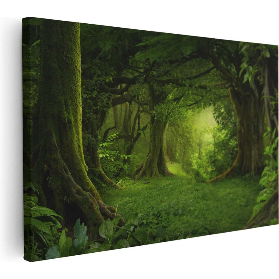 Artaza Canvas Schilderij Bos - 60x40 cm - Wanddecoratie Natuur - Muurdecoratie Bomen - Schilderijen Op Canvas Landschap Artaza Canvas Schilderij Bos - 60x40 cm - Wanddecoratie Natuur - Muurdecoratie Bomen - Schilderijen Op Canvas Landschap afbeelding 1