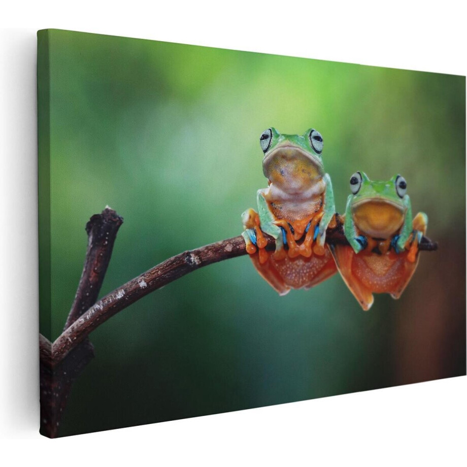 Artaza Canvas Schilderij Dieren - 30x20 cm - Klein - Wanddecoratie Kikker - Muurdecoratie Jungle - Kamer Accessoires afbeelding 1