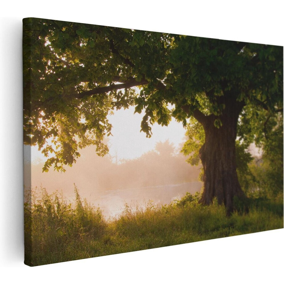 Artaza Canvas Schilderij Eikenboom Aan Het Water Met Volle Bladeren - 90x60 - Foto Op Canvas - Canvas Print - Muurdecoratie afbeelding 1