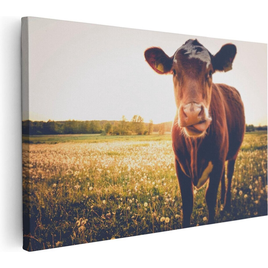 Artaza Canvas Schilderij Koe In De Wei Tijdens Zonsondergang - 30x20 - Klein - Foto Op Canvas - Canvas Print afbeelding 1