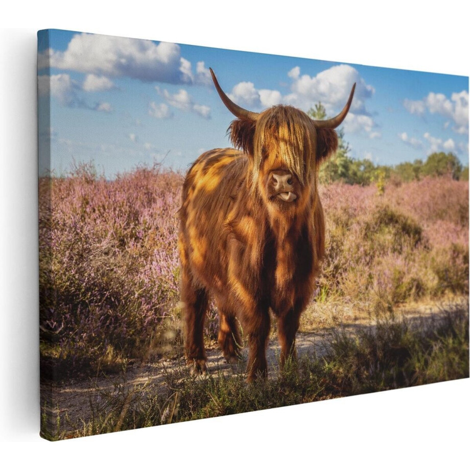 Artaza Canvas Schilderij Schotse Hooglander Koe In De Wei - 30x20 - Klein - Foto Op Canvas - Canvas Print Artaza Canvas Schilderij Schotse Hooglander Koe In De Wei - 30x20 - Klein - Foto Op Canvas - Canvas Print afbeelding 1