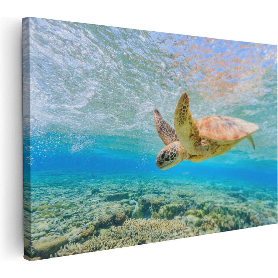 Artaza Canvas Schilderij Schildpad Zwemt in de Zee bij het Rif - 30x20 - Klein - Foto Op Canvas - Canvas Print afbeelding 1