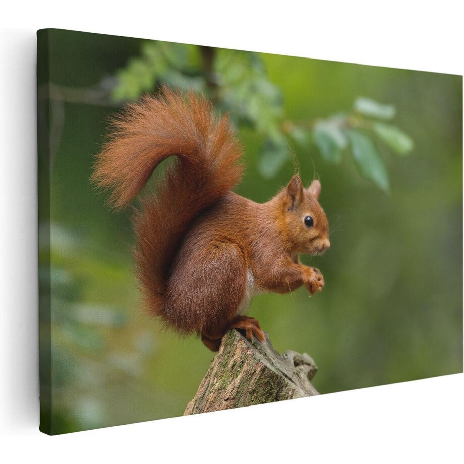 Artaza Canvas Schilderij Eekhoorn - 120x80 cm - Groot - Wanddecoratie Dieren - Muurdecoratie Bos - Schilderijen Op Canvas afbeelding 1