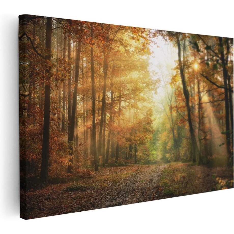 Artaza Canvas Schilderij Herfstbos Met Zonneschijn - 30x20 - Klein - Foto Op Canvas - Canvas Print afbeelding 1
