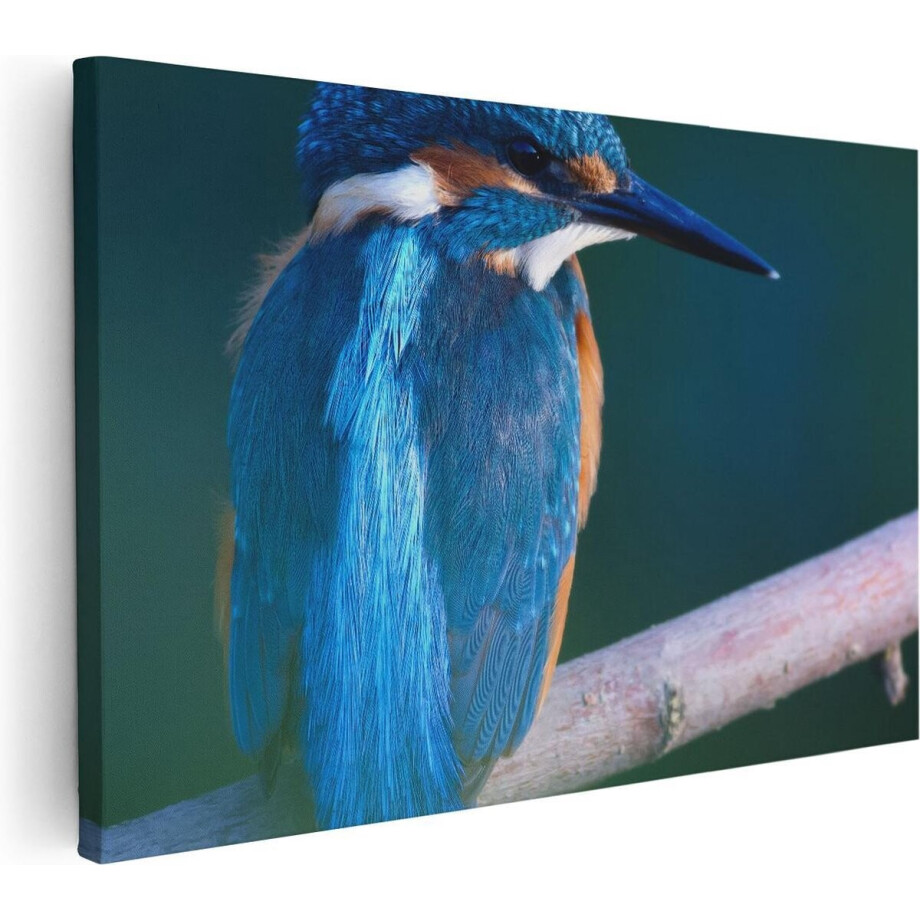 Artaza Canvas Schilderij Blauwe IJsvogel Op Een Tak - 60x40 - Foto Op Canvas - Canvas Print Artaza Canvas Schilderij Blauwe IJsvogel Op Een Tak - 60x40 - Foto Op Canvas - Canvas Print afbeelding 1