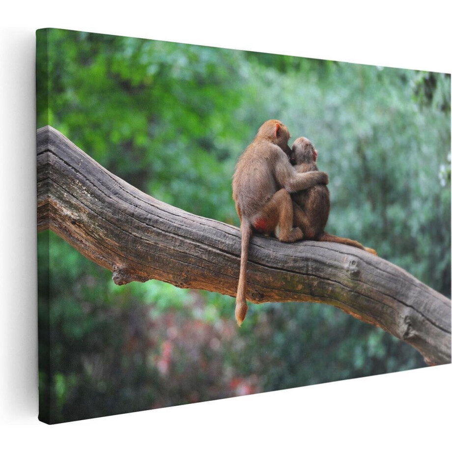 Artaza Canvas Schilderij Apen - 90x60 cm - Wanddecoratie Dieren - Muurdecoratie Bos - Schilderijen Op Canvas afbeelding 1