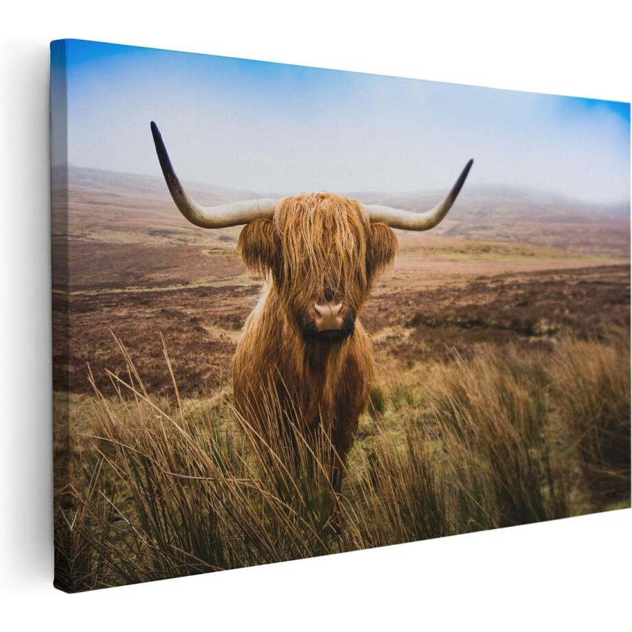 Artaza Canvas Schilderij Schotse Hooglander Koe In Het Veld - 120x80 cm - Groot - Wanddecoratie Woonkamer - Schilderijen - Muurdecoratie afbeelding 1