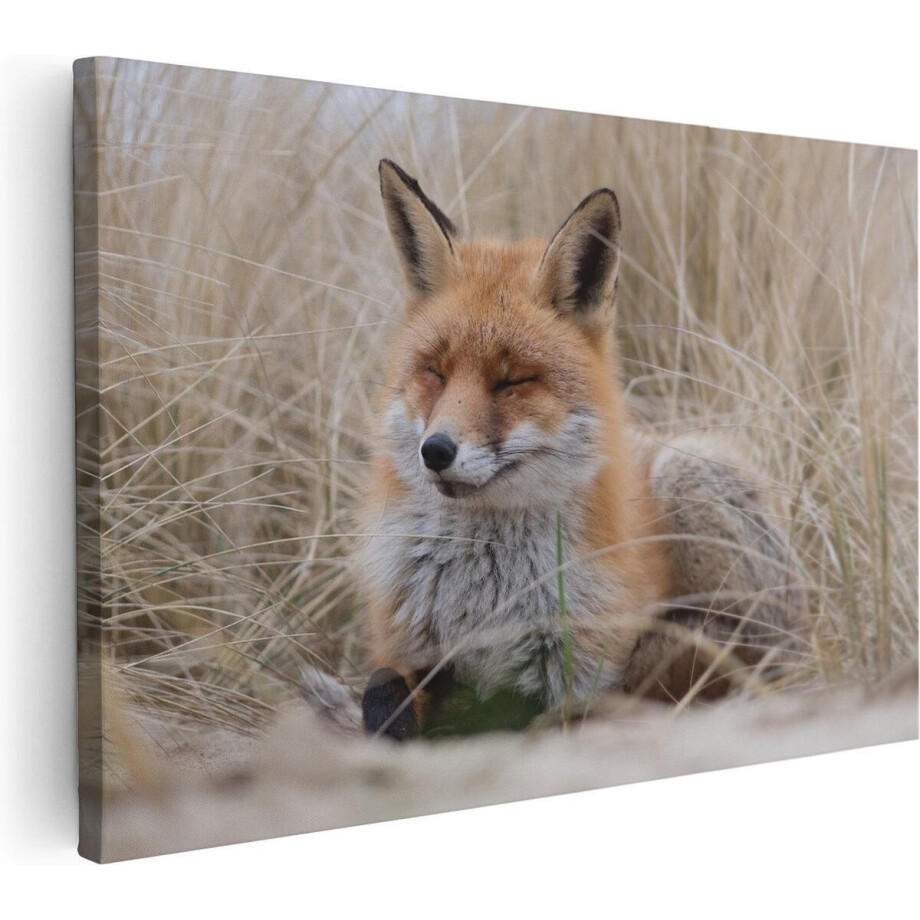 Artaza Canvas Schilderij Vos - 120x80 cm - Groot - Wanddecoratie Dieren - Muurdecoratie Duinen - Schilderijen Op Canvas afbeelding 1
